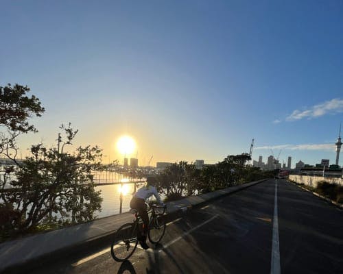 Livelo Road Bike Rental in Auckland